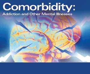 Comorbidity of mental disorders and physical conditions 2007